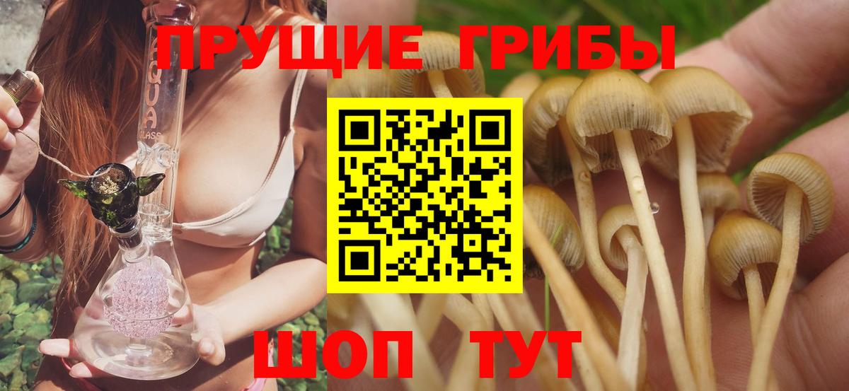 Галлюциногенные грибы Magic Shrooms Буйнакск